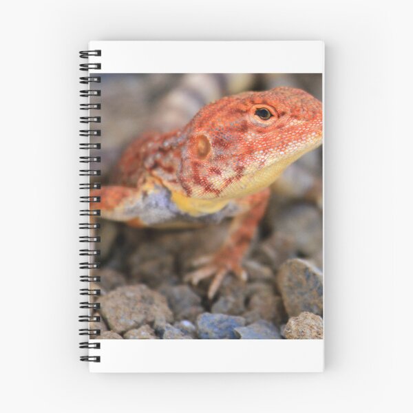 Item preview, Pilbara Wildlife designed and sold by evolutionx.