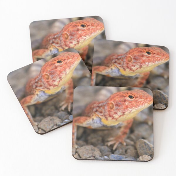 Item preview, Pilbara Wildlife designed and sold by evolutionx.