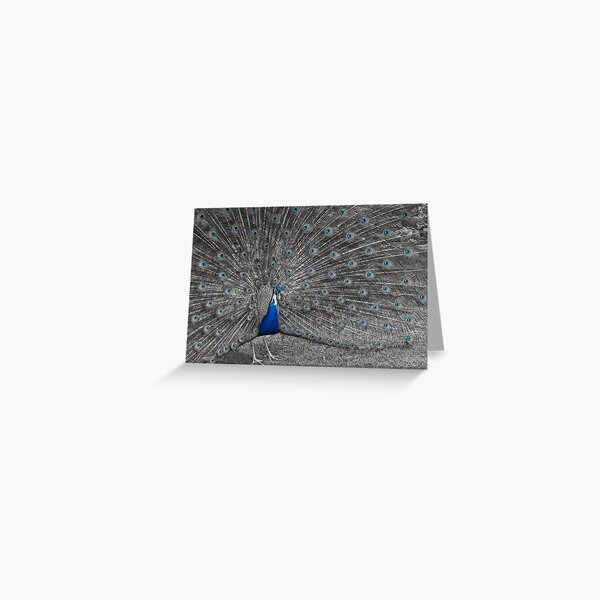 Old Blue Eyes... Greeting Card