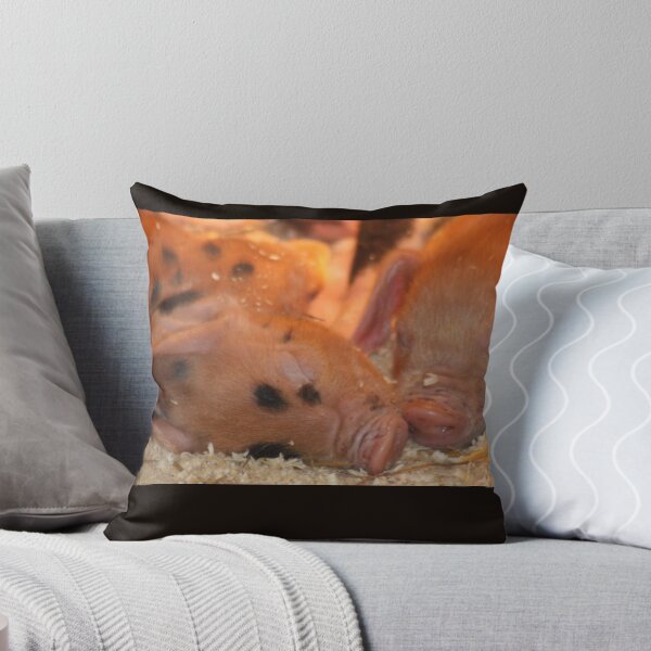 Item preview, Snout to Snout designed and sold by MichelleRees.