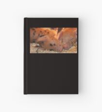 Snout to Snout Hardcover Journal