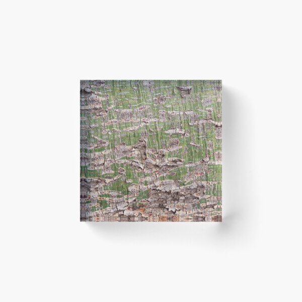 Item preview, Green Tree Texture designed and sold by Honey Myrtle Studio.