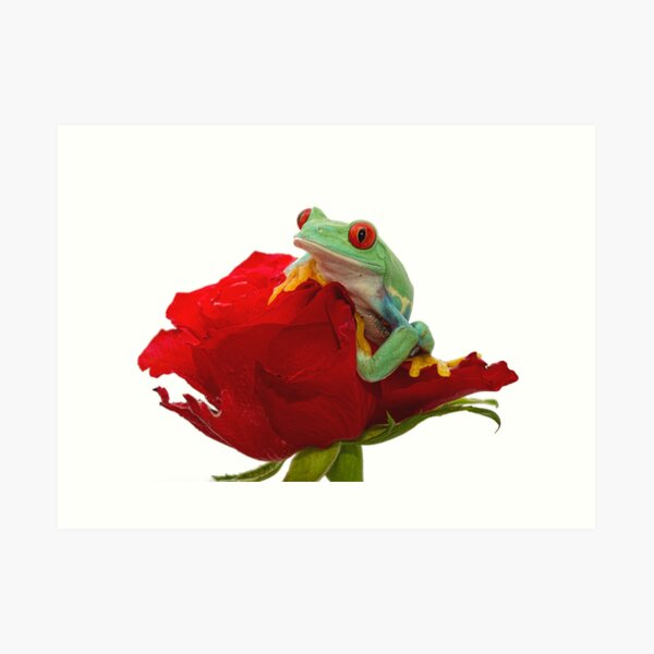 Valentine Frog Art Print