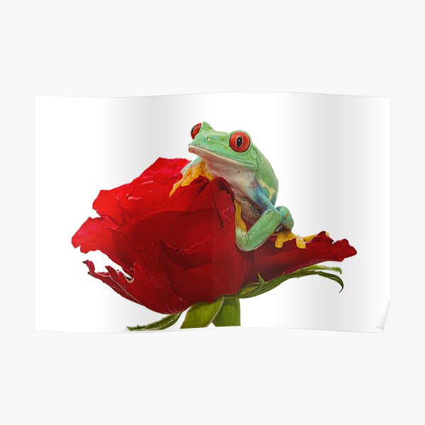 Valentine Frog Poster