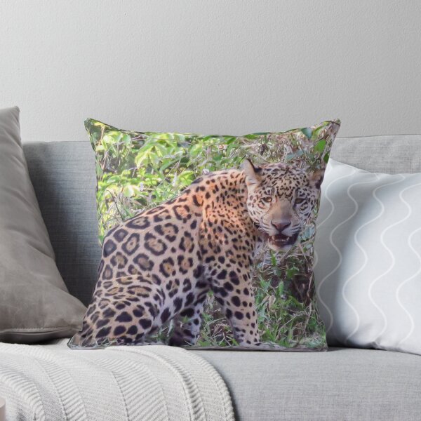 Item preview, Female jaguar cub designed and sold by Linda Sparks.