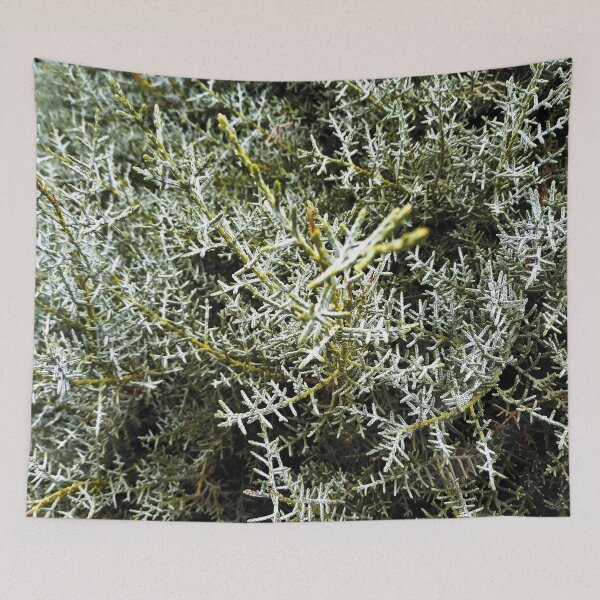 Item preview, Fir tree  designed and sold by Ghazal-art.