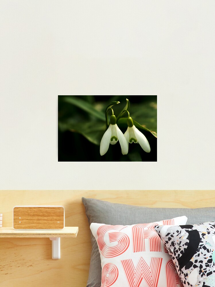 Thumbnail 2 of 3, Photographic Print, Twin sisters designed and sold by steppeland.