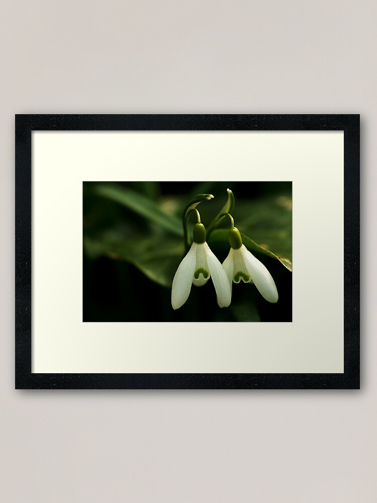 Thumbnail 1 of 7, Framed Art Print, Twin sisters designed and sold by steppeland.