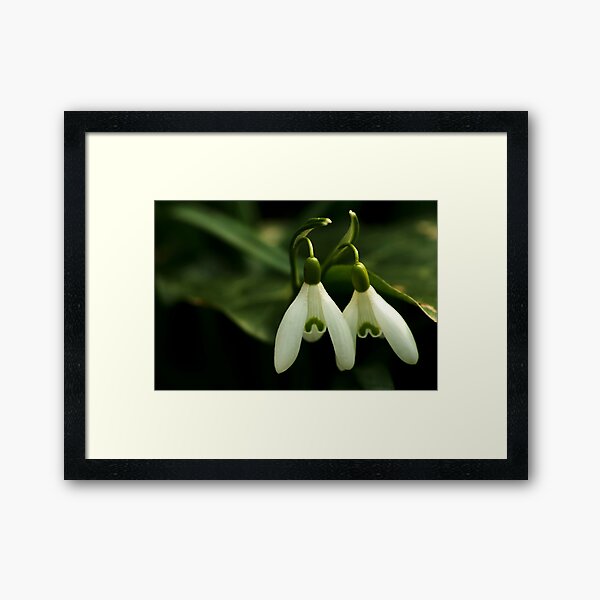 Framed Art Print