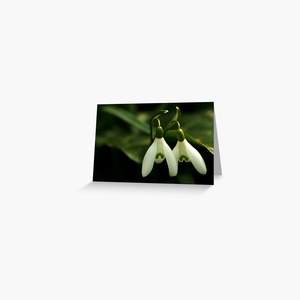 Item preview, Greeting Card designed and sold by steppeland.