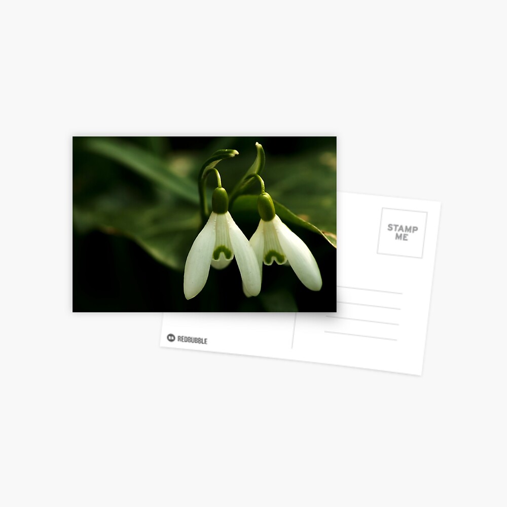 Item preview, Postcard designed and sold by steppeland.