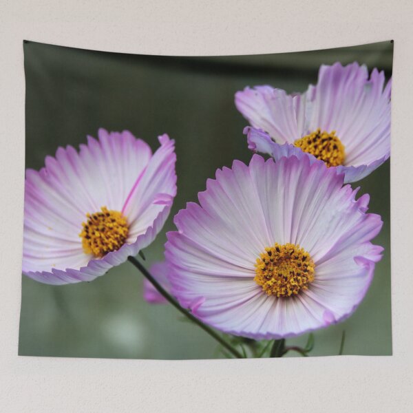 Item preview, Cupcake Cosmos designed and sold by AnnDixon.