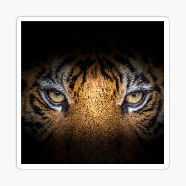 Tiger Sticker