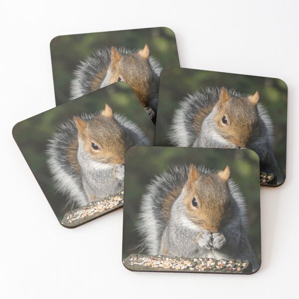 Item preview, Squirrel Square Meal designed and sold by Yampimon.