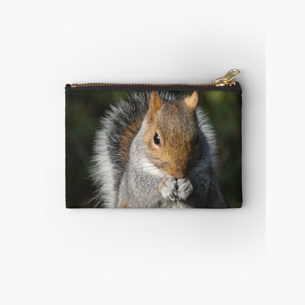 Item preview, Squirrel Square Meal designed and sold by Yampimon.
