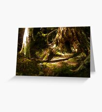 Archaic Beech Forest - Routeburn Track, Fiordland and Mount Aspiring National Parks. Greeting Card