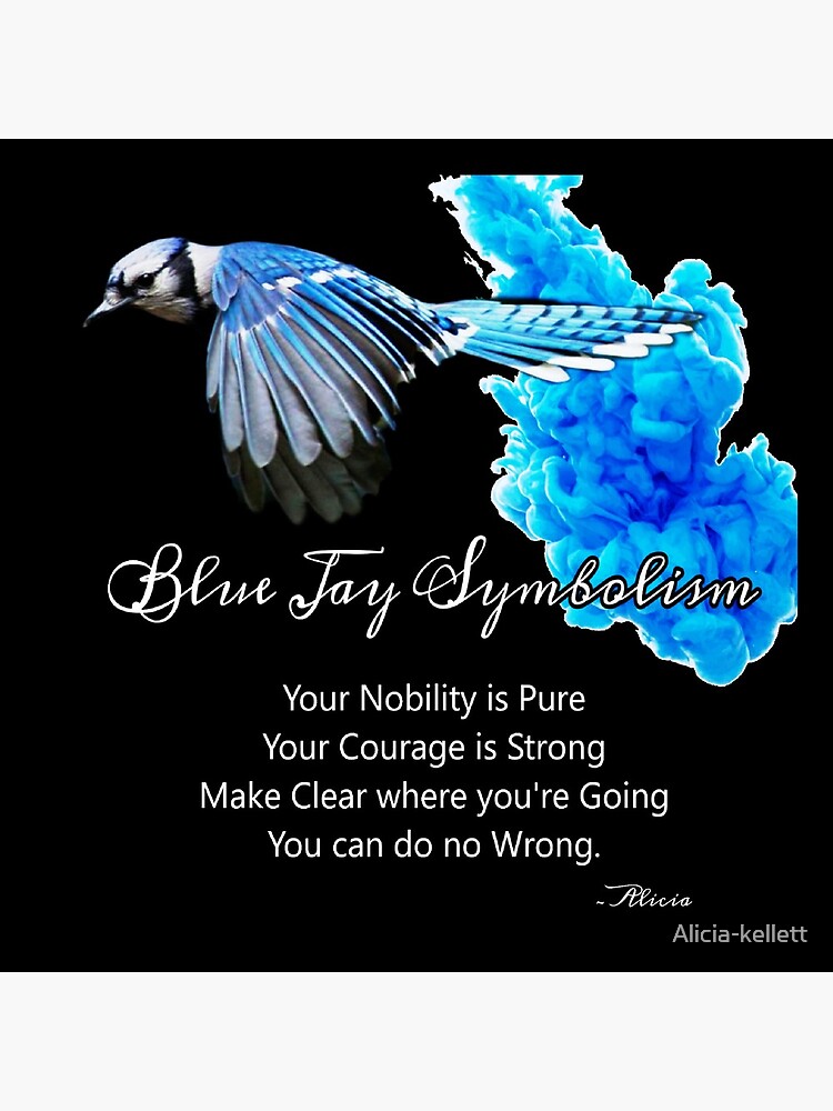 Blue Jay Symbolism by Alicia-kellett