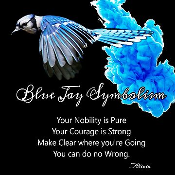Artwork thumbnail, Blue Jay Symbolism by Alicia-kellett