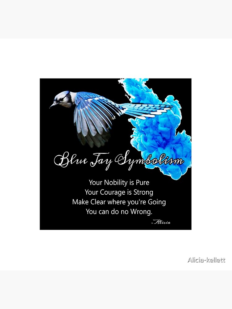 Blue Jay Symbolism Art Board Print By Alicia Kellett Redbubble