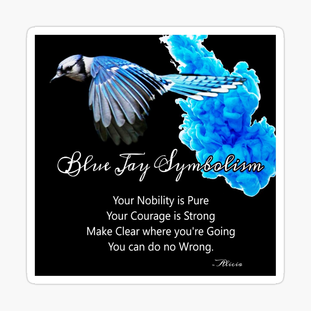 Blue Jay Symbolism Art Board Print By Alicia Kellett Redbubble