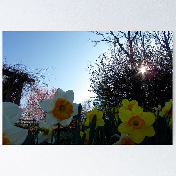 Item preview, Little Buttercups, Rise and Shine! designed and sold by Kate Eller.