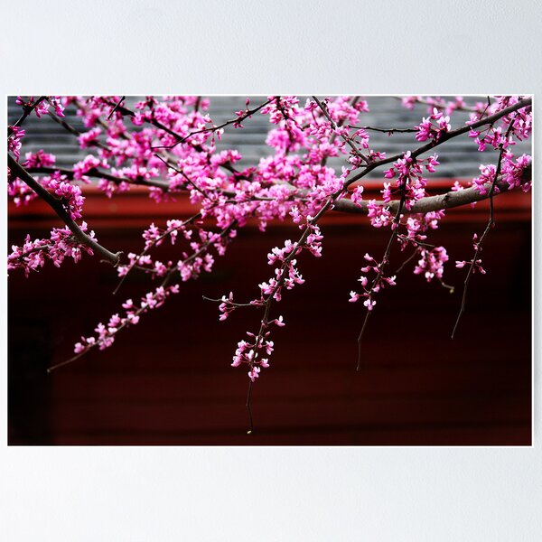 Item preview, Weeping Redbud designed and sold by debsrockine.