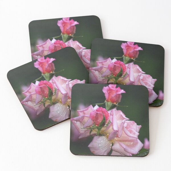 Item preview, Compassion ,glorious climbing rose  designed and sold by Rosehaven.