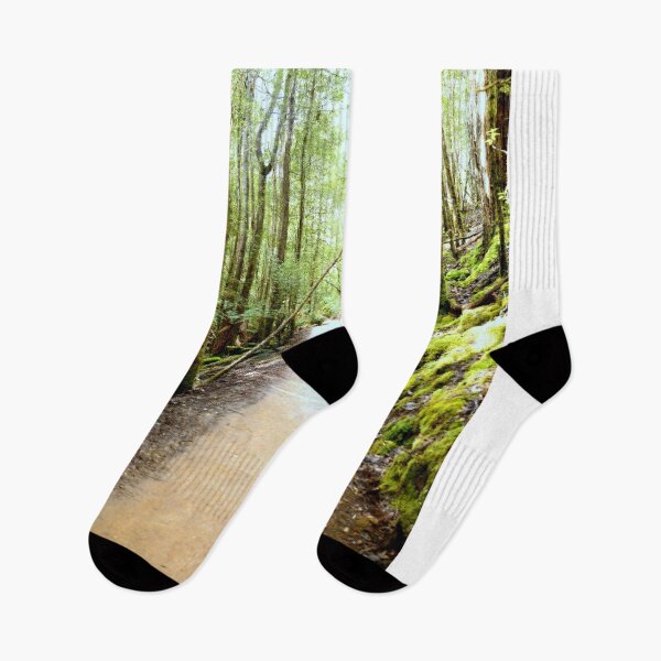 Item preview, Along the path - Mt Field National Park designed and sold by imaginethis.
