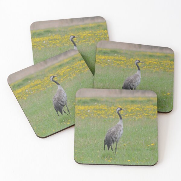 Item preview, Common Crane in the Biebrza Marshes designed and sold by MinkMaguari.