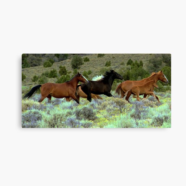 The Power Of Freedom  Canvas Print