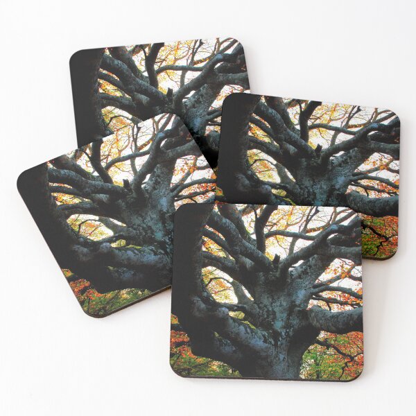 Item preview, Huge trunk of a beech tree with numerous massive interwoven branches in Canfaito forest designed and sold by Kristina Drozd.