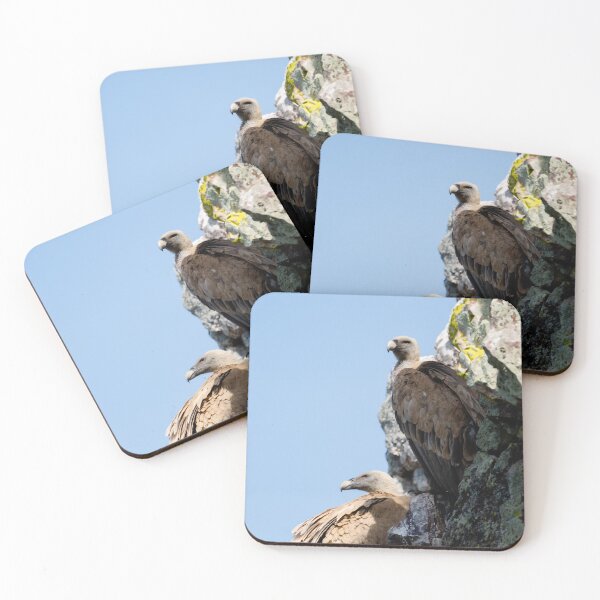 Item preview, A pair of Griffon vultures on a crag, Parque Nacional Monfragüe, Extremadura, Spain designed and sold by AndrewJonesFoto.