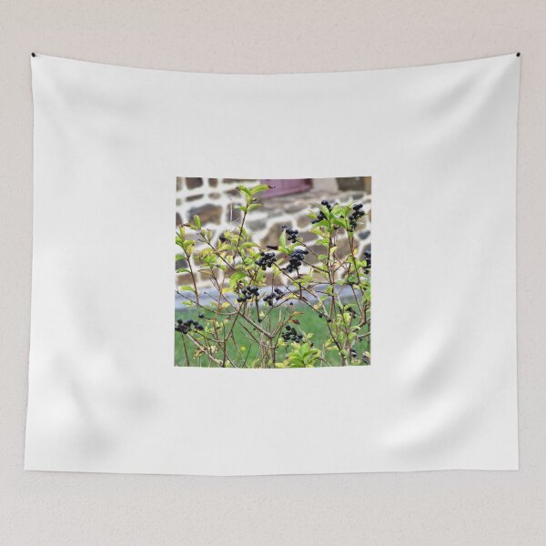 Item preview, Autumn berry designed and sold by ART22.