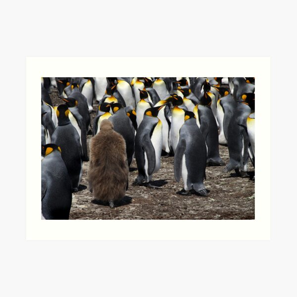 Stranger in a Strange Land Art Print