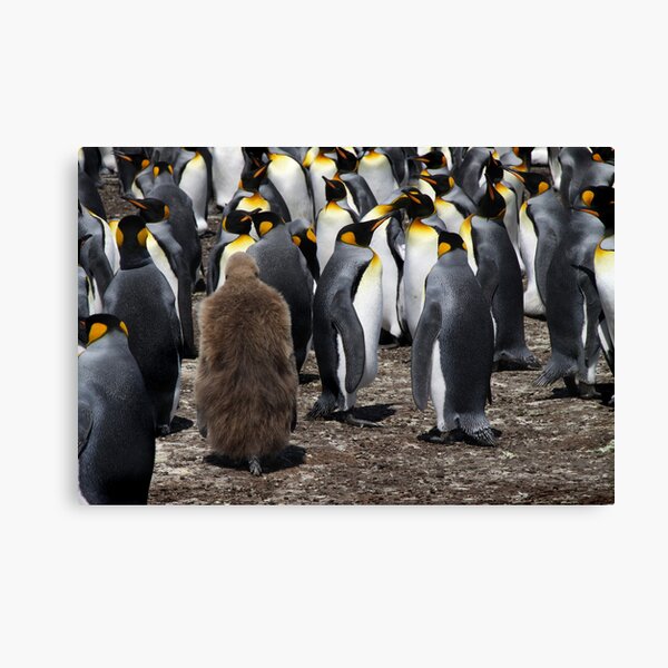 Stranger in a Strange Land Canvas Print