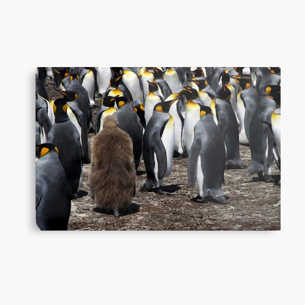 Stranger in a Strange Land Metal Print