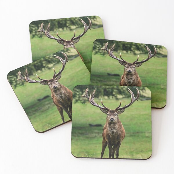 Item preview, Red Deer Stag Portrait designed and sold by JMChown.