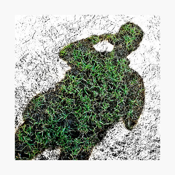 Grassman - Positive Sighting Photographic Print