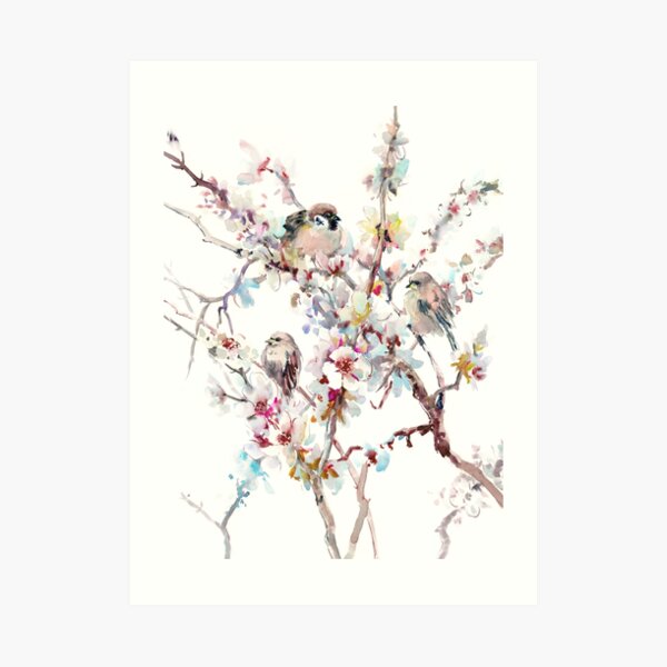 Sparrows And Apricot Blossom Art Print