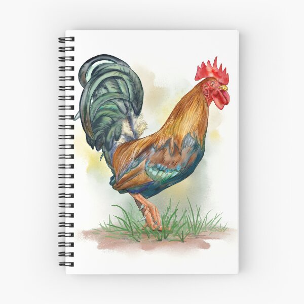 Item preview, Common rooster watercolor illustration designed and sold by Andreus.