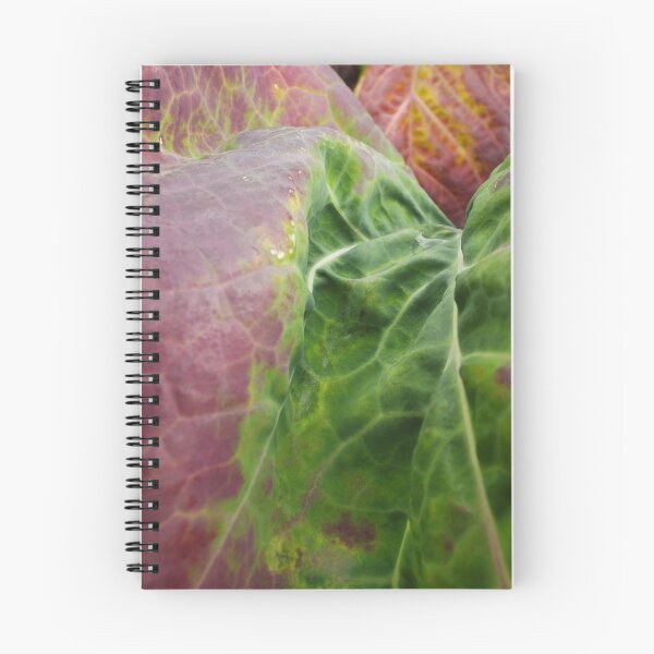 Item preview, Brassica Up Close designed and sold by MeyrellesMartin.