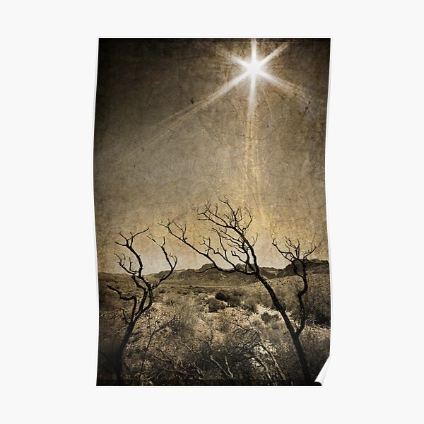 Under An Unforgiving Sun Poster