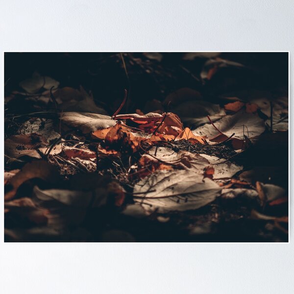 Item preview, Autumn Leaves designed and sold by Luigi Veggetti.