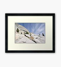 Olmsted Uprise Framed Print