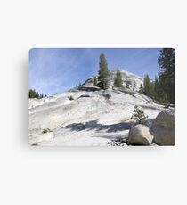 Olmsted Point Metal Print