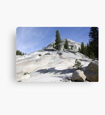 Olmsted Point Canvas Print