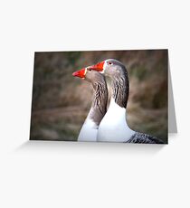 Geese twins....? Greeting Card