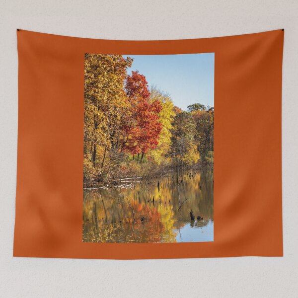 Item preview, Autumn Glow in Moraine State Park of Pennsylvania designed and sold by Debra Martz.