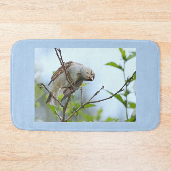 Item preview, Curiosity designed and sold by Laurie Minor.