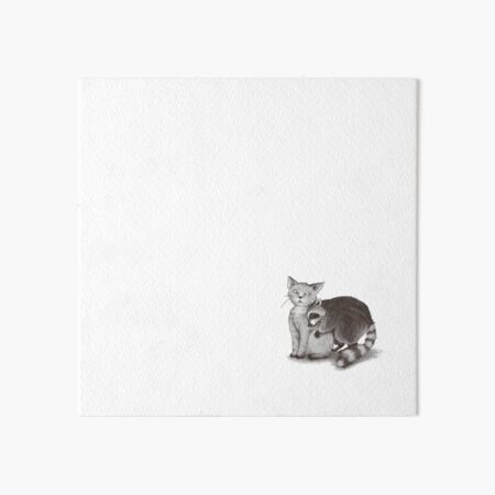 Artikel-Vorschau von Katze und Waschbär, designt und verkauft von dickesSchaf.